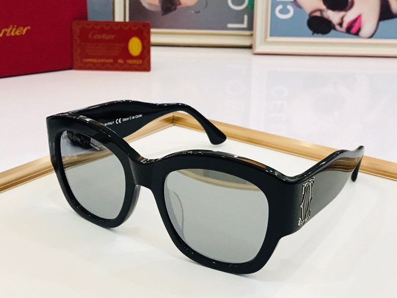 CTR Sunglasses AAA-109