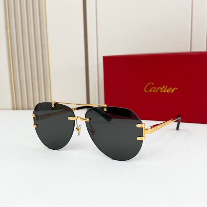 CTR Sunglasses AAA-142