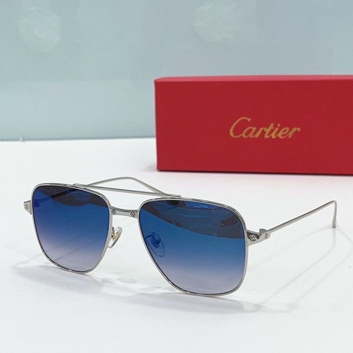 CTR Sunglasses AAA-161
