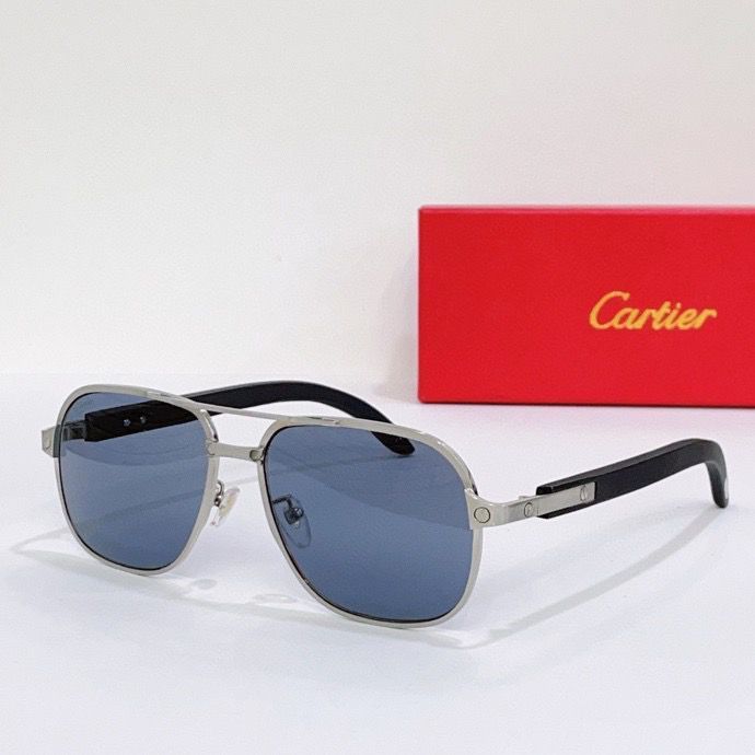 CTR Sunglasses AAA-139