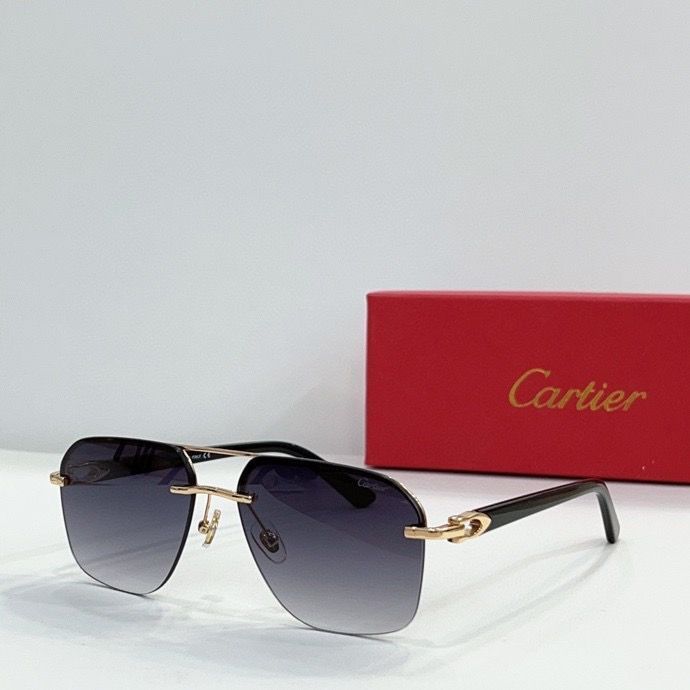 CTR Sunglasses AAA-145