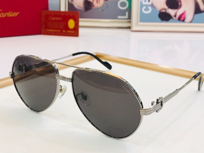 CTR Sunglasses AAA-102