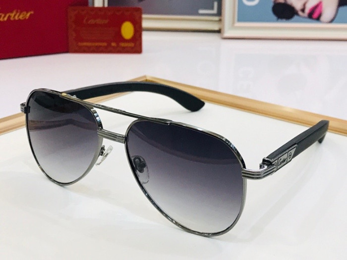 CTR Sunglasses AAA-106