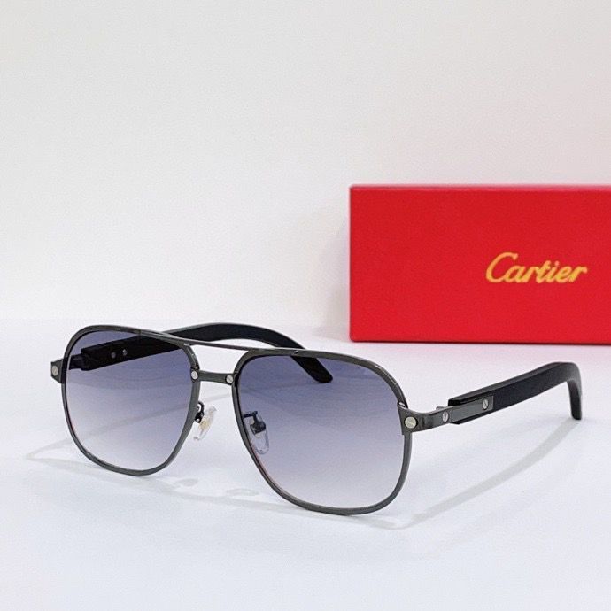 CTR Sunglasses AAA-139
