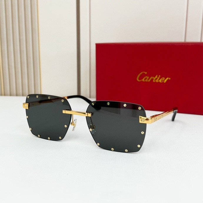 CTR Sunglasses AAA-140