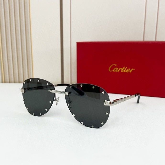 CTR Sunglasses AAA-166