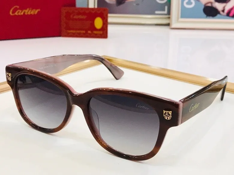 CTR Sunglasses AAA-103