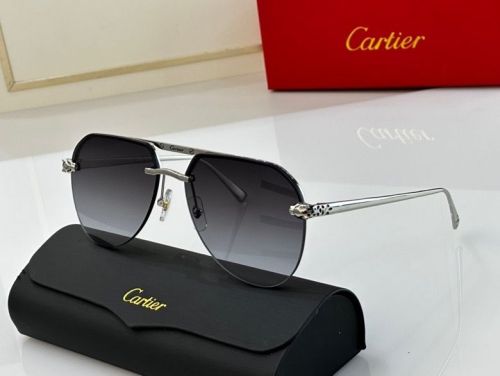 CTR Sunglasses AAA-66