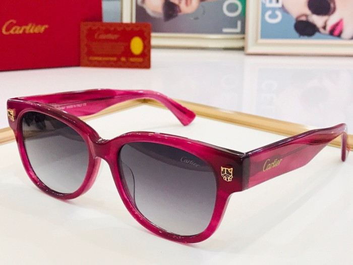 CTR Sunglasses AAA-103