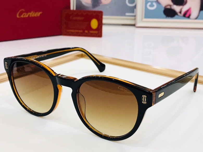 CTR Sunglasses AAA-110