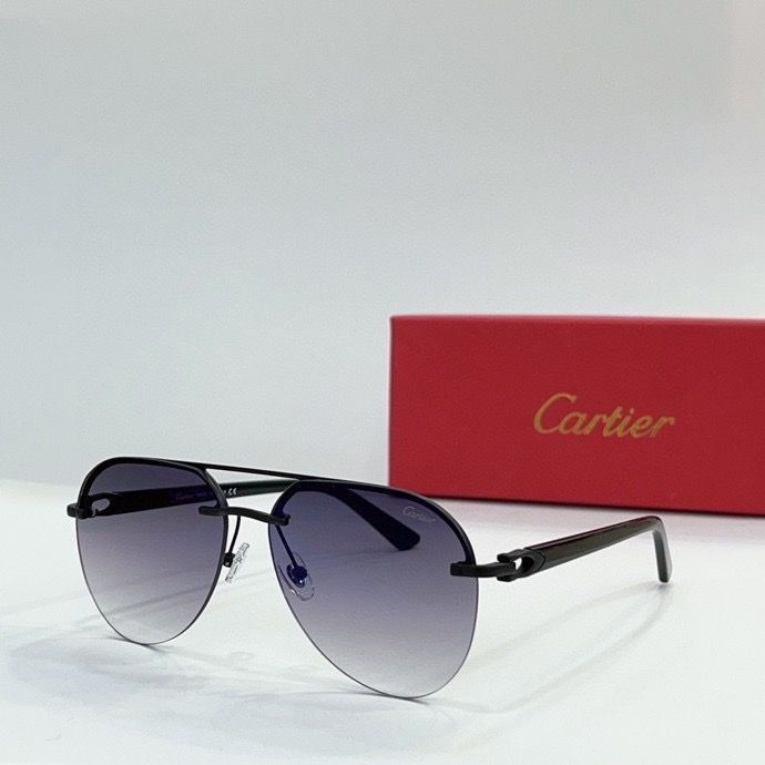 CTR Sunglasses AAA-146