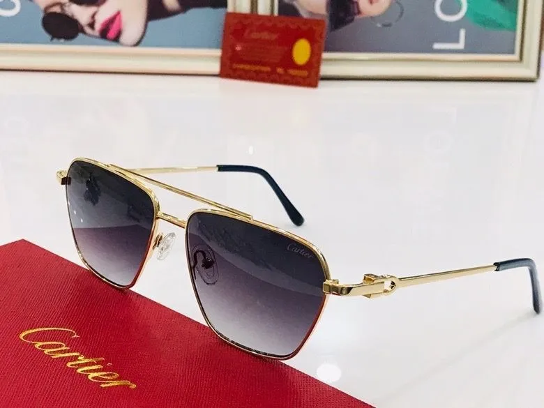 CTR Sunglasses AAA-73
