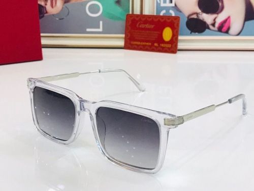 CTR Sunglasses AAA-74