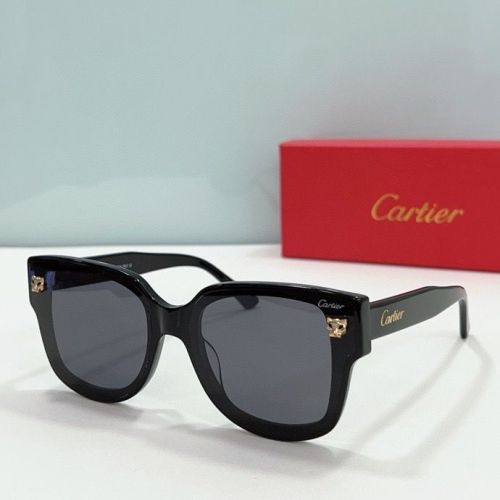 CTR Sunglasses AAA-149