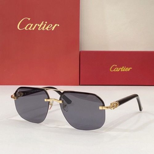 CTR Sunglasses AAA-113