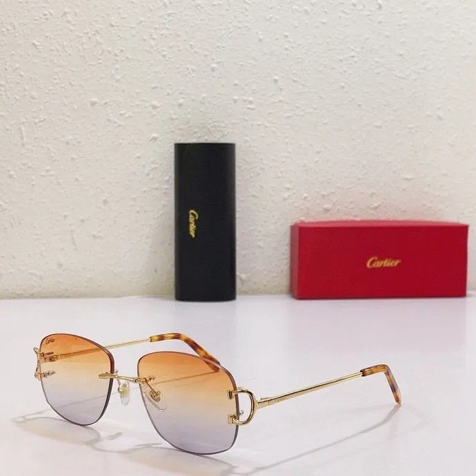 CTR Sunglasses AAA-133