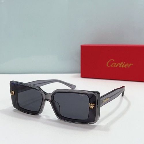 CTR Sunglasses AAA-148