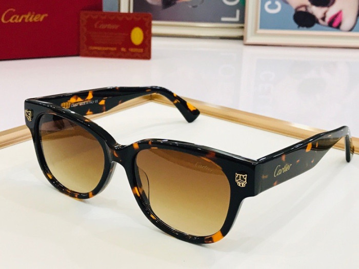 CTR Sunglasses AAA-103