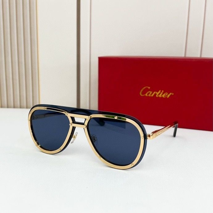 CTR Sunglasses AAA-164