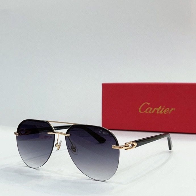 CTR Sunglasses AAA-146