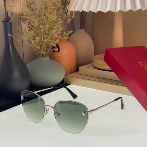 CTR Sunglasses AAA-112