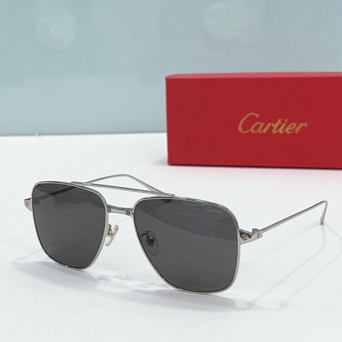 CTR Sunglasses AAA-161