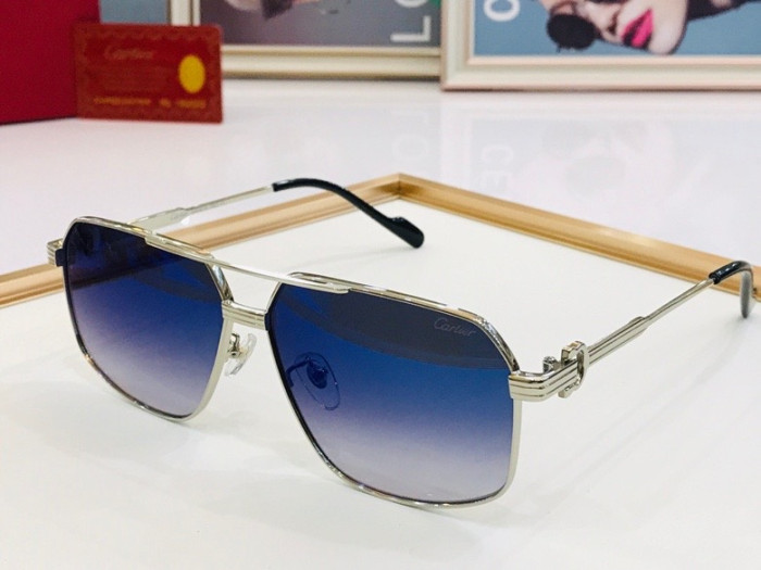 CTR Sunglasses AAA-108