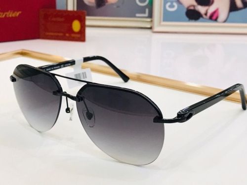 CTR Sunglasses AAA-95