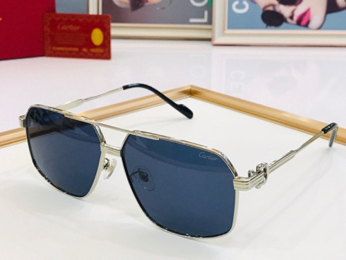 CTR Sunglasses AAA-108