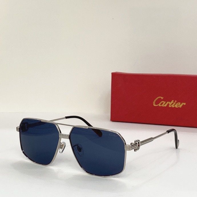 CTR Sunglasses AAA-137