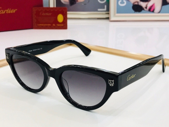CTR Sunglasses AAA-104