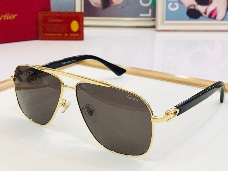 CTR Sunglasses AAA-101