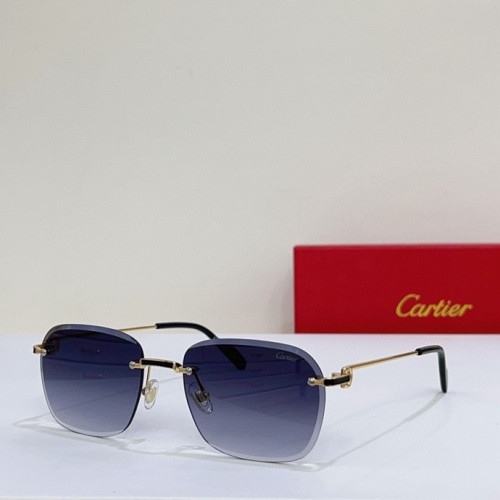 CTR Sunglasses AAA-143