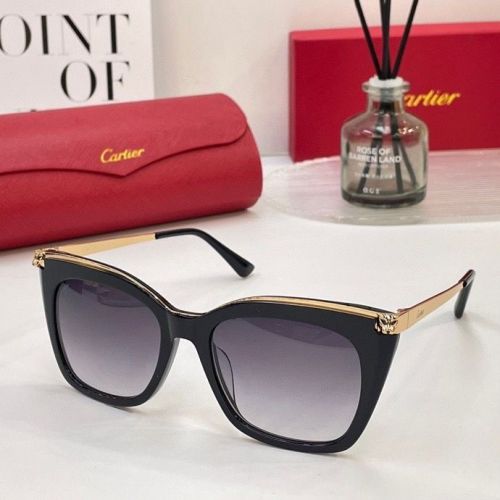 CTR Sunglasses AAA-163