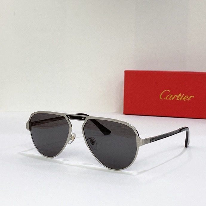 CTR Sunglasses AAA-129