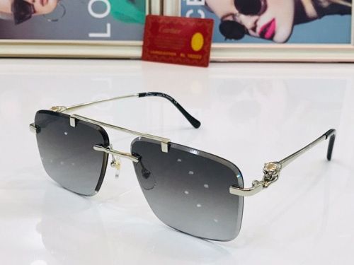 CTR Sunglasses AAA-76