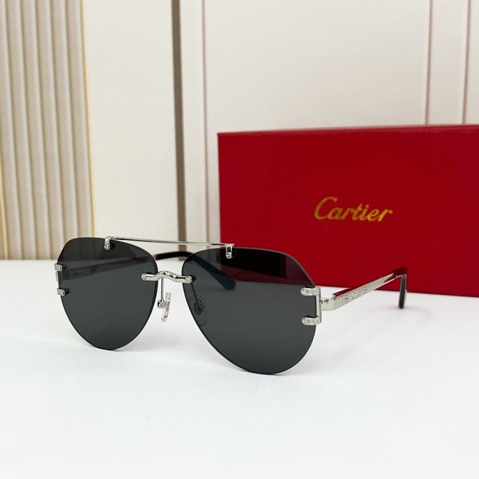 CTR Sunglasses AAA-142