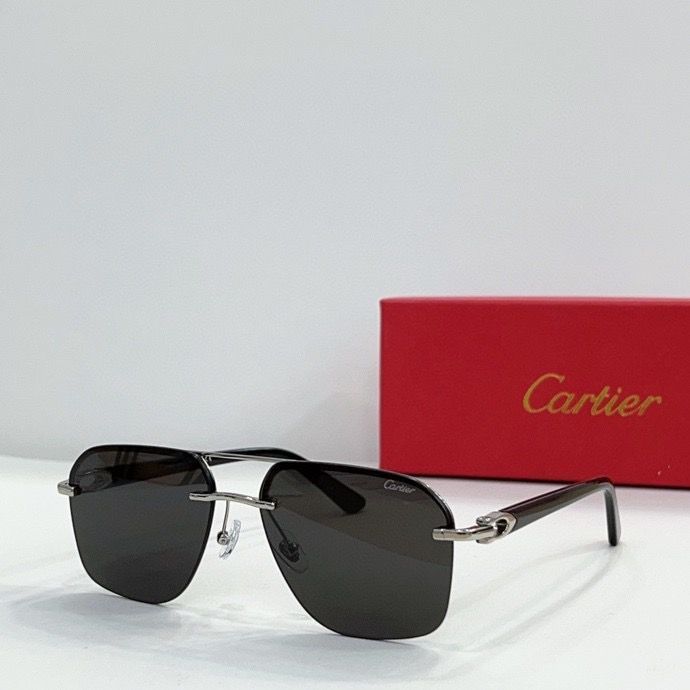CTR Sunglasses AAA-145