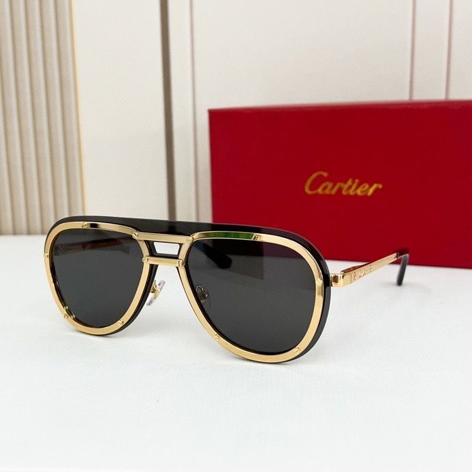 CTR Sunglasses AAA-164