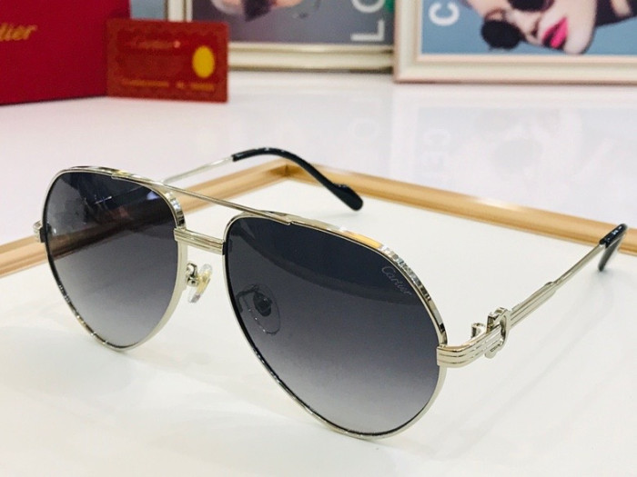 CTR Sunglasses AAA-102