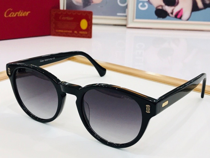 CTR Sunglasses AAA-110