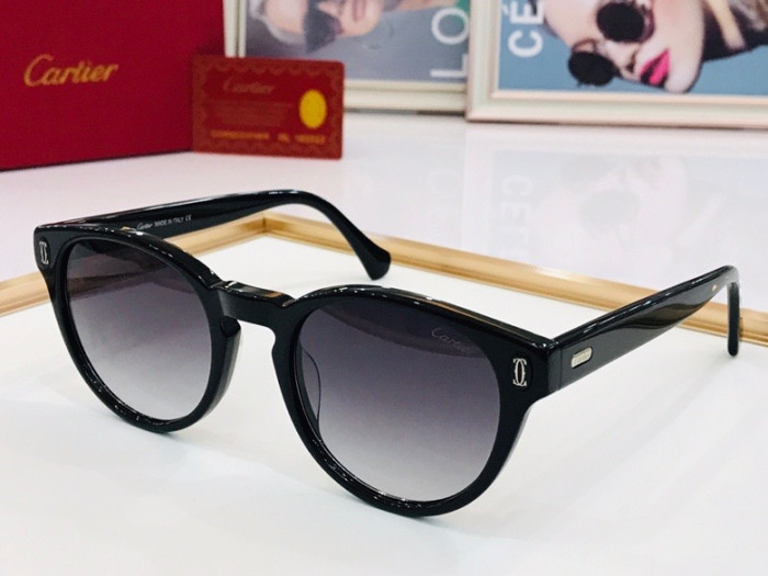 CTR Sunglasses AAA-110