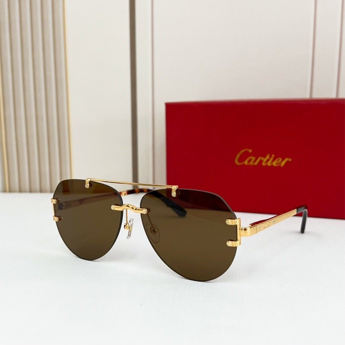 CTR Sunglasses AAA-142