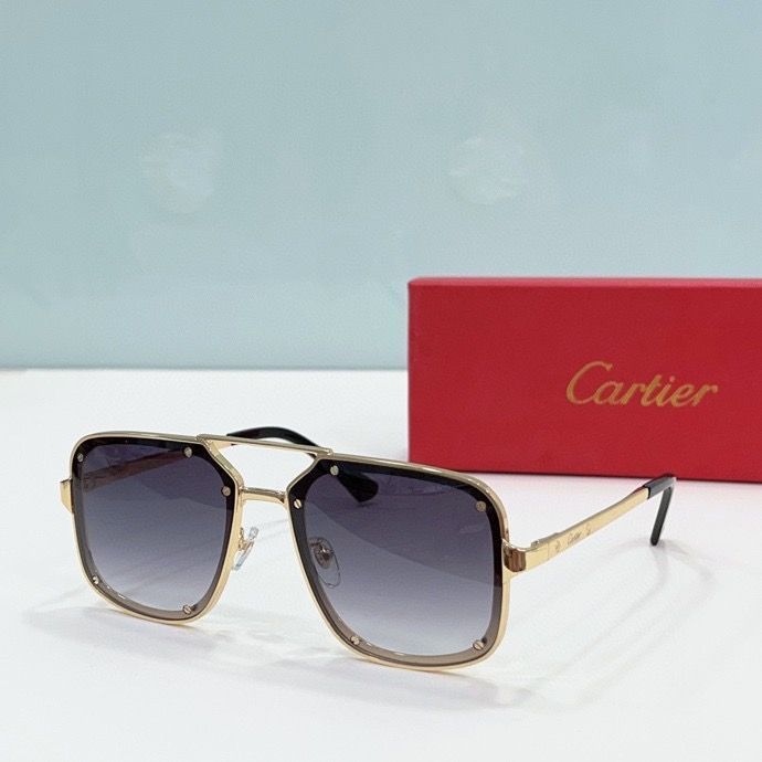 CTR Sunglasses AAA-191