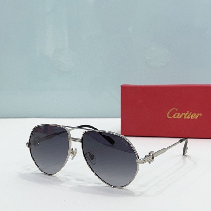 CTR Sunglasses AAA-212