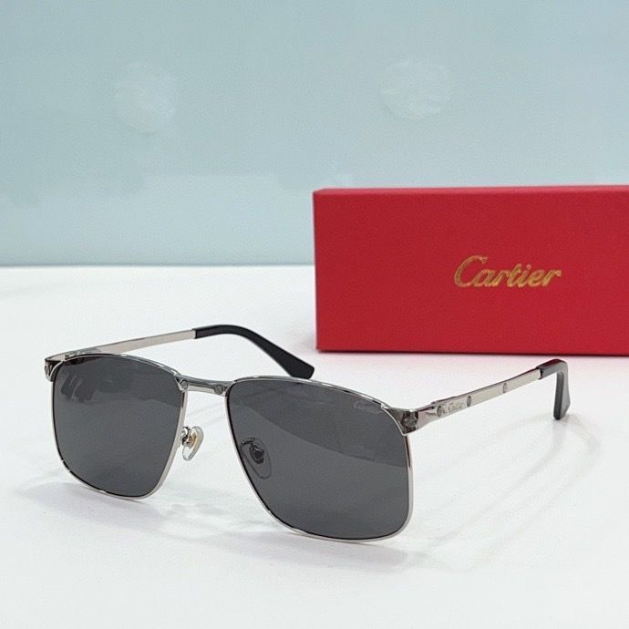 CTR Sunglasses AAA-201