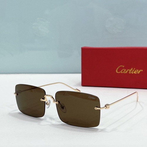 CTR Sunglasses AAA-205