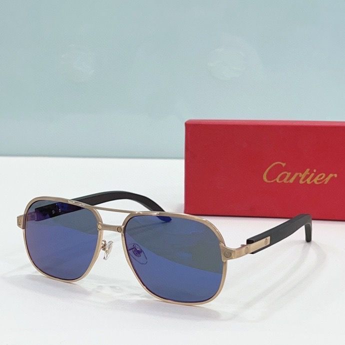 CTR Sunglasses AAA-199