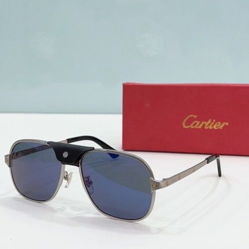 CTR Sunglasses AAA-198
