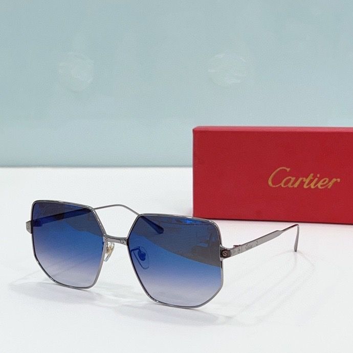 CTR Sunglasses AAA-190